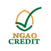 Ngao Credit Ltd logo - Similar company to Sunking