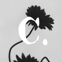 Atelier Calypso logo - Similar company to Sgpub