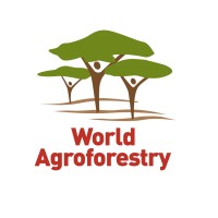 World Agroforestry logo - Similar company to Iufro - International Union Of Forest Research Organizations