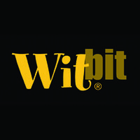 Witbit logo - Similar company to Techneeq