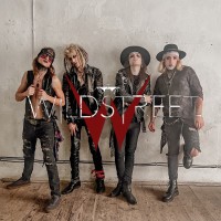 Wildstreet