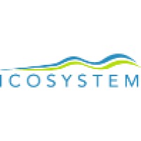 Icosystem Corp