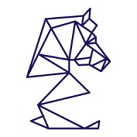 Digital Strategies logo - Similar company to Chronologic