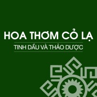 Hoa Thom Co La