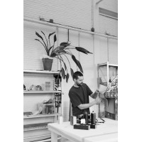 Laurids Gallée logo - Similar company to Parachilna