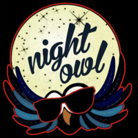 Night Owl logo - Similar company to Klar Labs