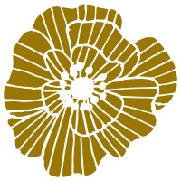 IKI DE VEYRAC logo - Similar company to Cegeor Creations