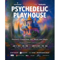 Psychedelic Playhouse by District216 logo - Similar company to District216