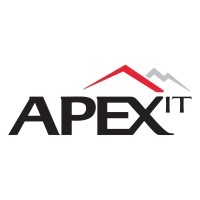 NGI Apex IT India Pvt Ltd logo - Similar company to Apex It Services