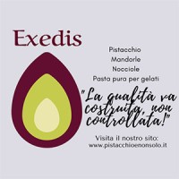 Exedis pistacchio logo - Similar company to Pistacchio Web