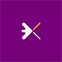 Xaine Ingenius logo - Similar company to Skill Aura®