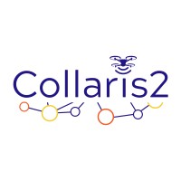 COLLARIS Network logo - Similar company to Chematun