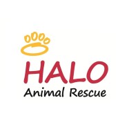 HALO Animal Rescue logo - Similar company to Maricopa County Animal Care & Control
