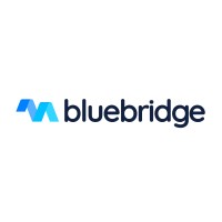 BlueBridge SpA logo - Similar company to Rinconada M&A