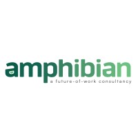 Amphibian LLC logo - Similar company to Lost Office Collaborative