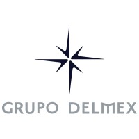 Delmex Group logo - Similar company to Fluid Master