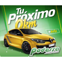 Podersa logo - Similar company to Dataxplore