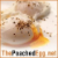 The Poached Egg Apologetics