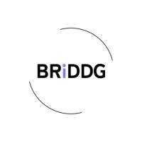 BRiDDG logo - Similar company to Transferring Up