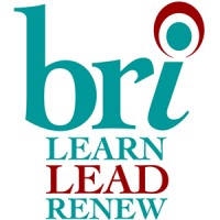Blue Ridge Institute (BRI) logo - Similar company to Youth Impact Strategies