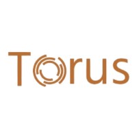 Torus IT Solutions logo - Similar company to Apps N Stuff