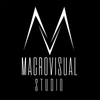 Macro Visual Studio logo - Similar company to Flamyfishstudios
