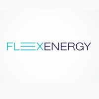 FLEXENERGY a.s. logo - Similar company to Éxito Club