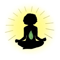 Illumine Wellness logo - Similar company to Austin Wellness Collaborative