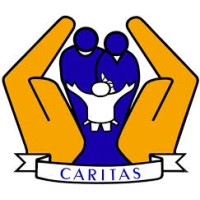 Caritas Health Shield, Inc. logo - Similar company to Cif Central Corp.