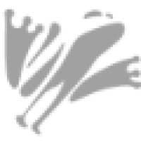 Leapfrog Marketing, PR & Design logo - Similar company to Leapfrog Solutions (Now Yes&)