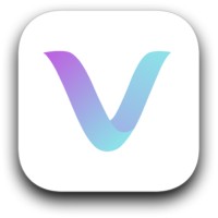 Vidi Guides logo - Similar company to The Bangert Consultancy