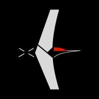 Flameback Tech logo - Similar company to Arctus Technologies