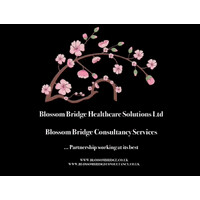 Blossom Bridge Healthcare Solutions Ltd logo - Similar company to Oxygens Hyperbaric Oxygen Chambers