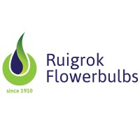 Ruigrok Flowerbulbs logo - Similar company to Uit De Oude Doos