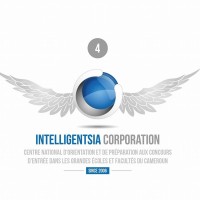 Intelligentsia Corporation logo - Similar company to The Grey Lab