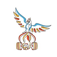 Ascend Athletics & Sports Medicine logo - Similar company to Lala Lash Bars