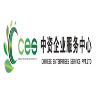 Chinese Enterprise Service Pvt Ltd. logo - Similar company to Ews-Artisanat