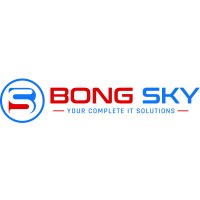 Bongsky Technologies logo - Similar company to Xd Computech