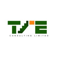 TIE Consulting Limited logo - Similar company to Tek-Annex Engineering Nigeria Limited