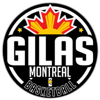 GILAS Montreal Basketball logo - Similar company to Den Du Monde (Ddm)