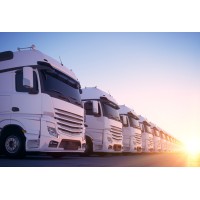 WILSON TRANSPORT LOGISTIQUE logo - Similar company to Wilson Transportation Inc