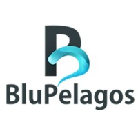 BluPelagos logo - Similar company to Virtana