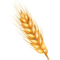 Sunnybrook Combine Parts logo - Similar company to Startec Refrigeration Services Ltd.