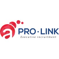 Pro-Link Recruitment logo - Similar company to Maarten Van De Sande - Recruiter & Headhunter