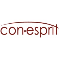 conesprit GmbH logo - Similar company to Cobra Systems, Inc.