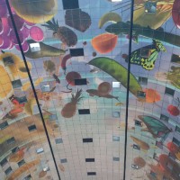 Canadian Supply Chain Food Safety Coalition (CSCFSC/Coalition) logo - Similar company to Canadian Food And Beverage Expo (Cafbex)