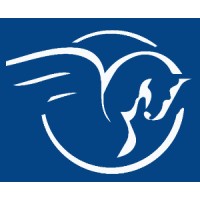 PegusGroup logo - Similar company to Eeve