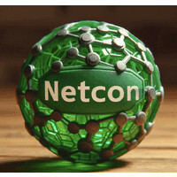 netcon México logo - Similar company to Iotiva Corp