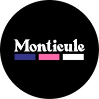 Monticule logo - Similar company to River Rock Resurfacing R3