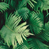 tms design logo - Similar company to Tms Design